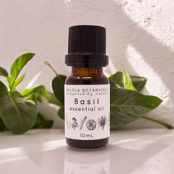 Basil Essential Oil